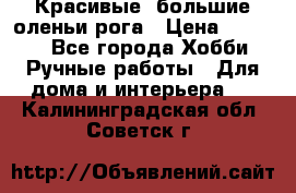 Красивые  большие оленьи рога › Цена ­ 3 000 - Все города Хобби. Ручные работы » Для дома и интерьера   . Калининградская обл.,Советск г.